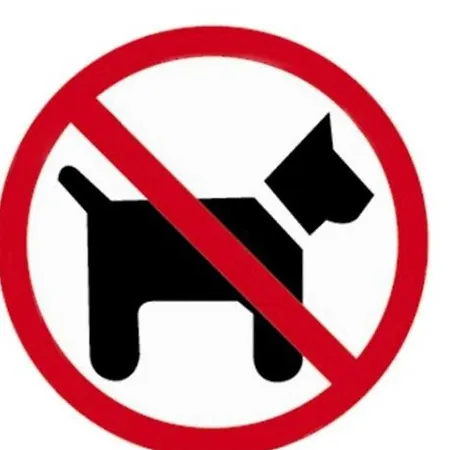 Centro * شيوفوك